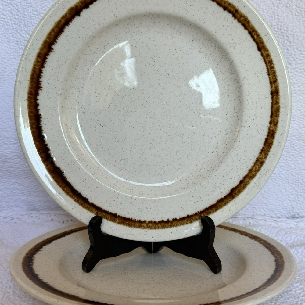 Homer Laughlin Dinner Plate 10 Inch Oatmeal Pattern Speckled Brown Rim Set Of 2
